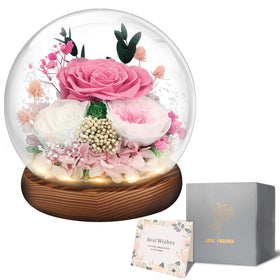 Puxinargo eternal pink rose in glass dome with LED light for lasting romantic display.