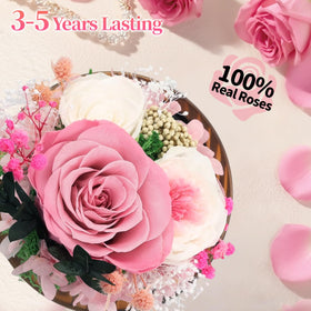 Close-up of a preserved pink rose showing natural color and artisan preservation by Puxinargo.