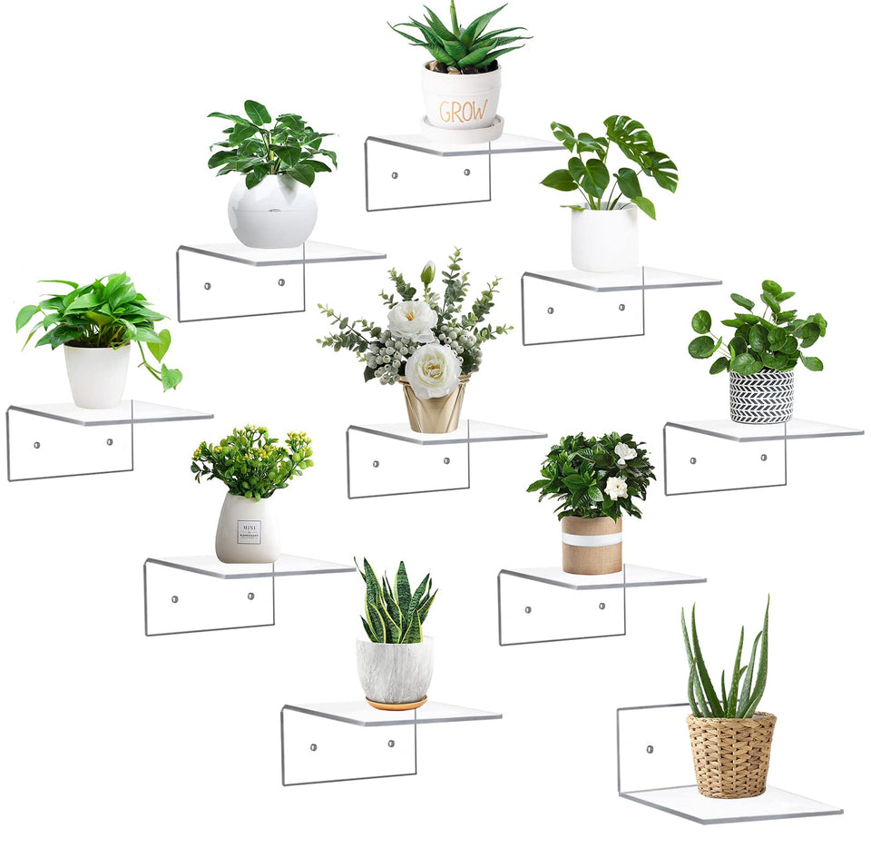 PuzFun floating shelf clear wall display shows compact, stylish storage for plants and mini figurines