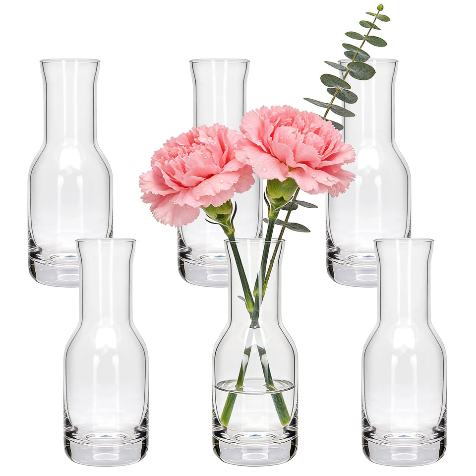 QAPPDA 6-inch clear glass bud vase top view, ideal for single stems.