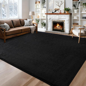 QDUIDU modern minimalist black rug complements contemporary home interiors.