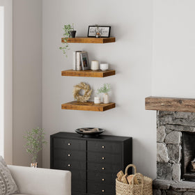 QEEIG 12x16 deep floating shelves living room display with plants