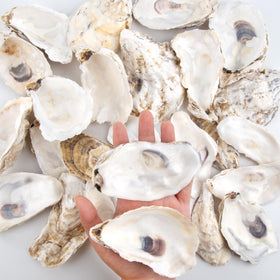 QEQEKAKA oyster shells for Xmas ornaments and holiday decor