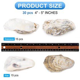QEQEKAKA oyster shells concave 4-5 inch perfect for DIY centerpieces