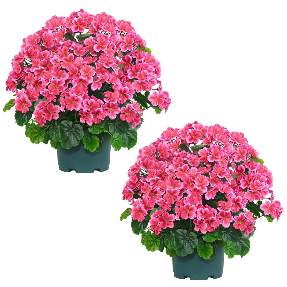 QIANYUN 20-inch outdoor potted geranium bush enhances outdoor curb appeal.