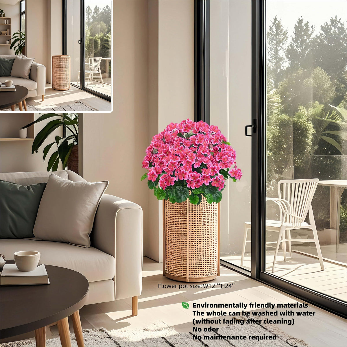 QIANYUN geranium bush with dense rounded blooms creates lush appearance.