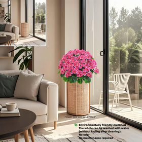 QIANYUN geranium bush with dense rounded blooms creates lush appearance.