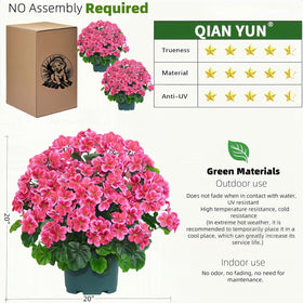 QIANYUN geranium bush for front porch decor and welcoming entry.