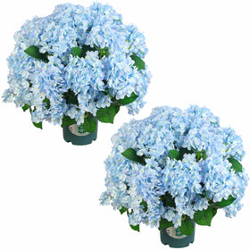 QIANYUN artificial hydrangea bush 20-inch potted bloom for year-round decor