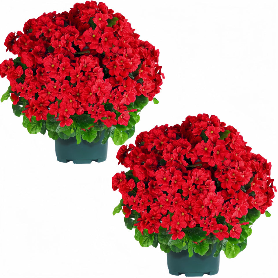 QIANYUN geranium bush in a front porch pot enhances curb appeal with durable outdoor charm