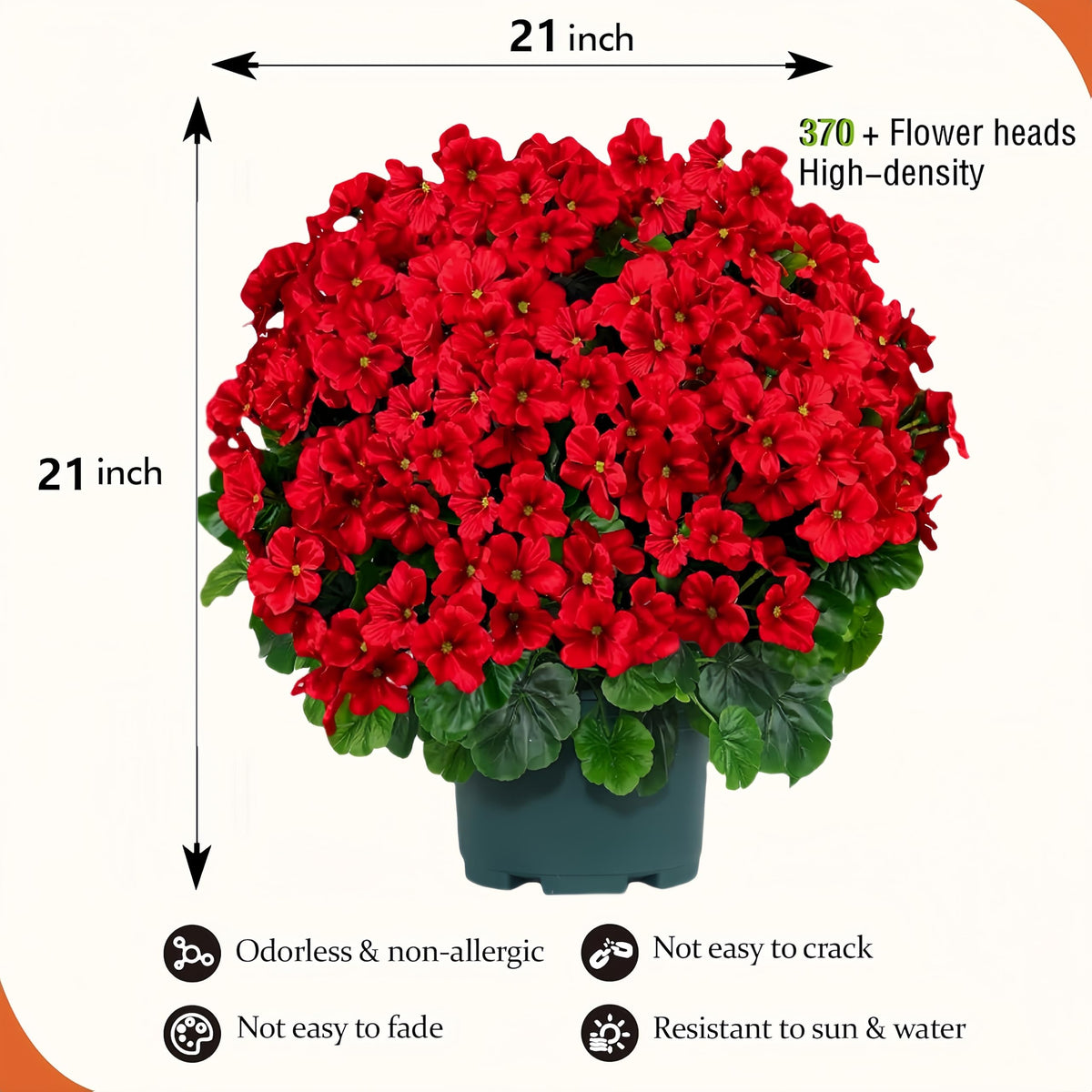 QIANYUN geranium bush two-pack display saves space and boosts visual impact