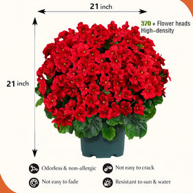 QIANYUN geranium bush two-pack display saves space and boosts visual impact