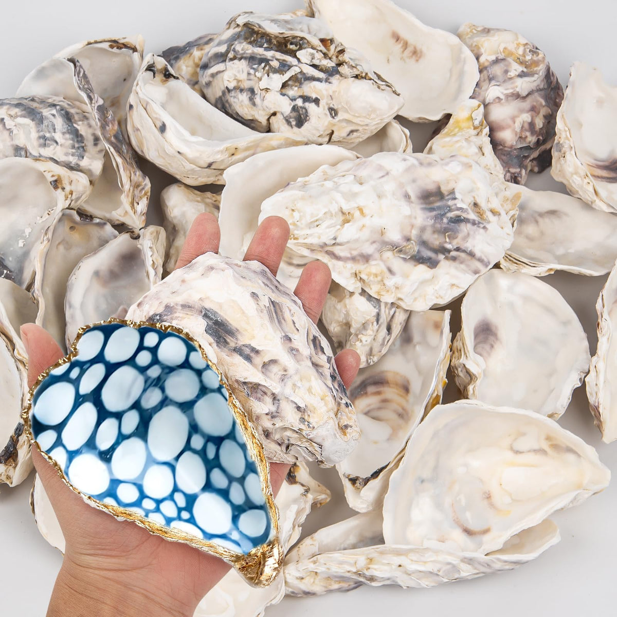 QICQDRAM 15-piece concave oyster shells for crafts, natural texture.