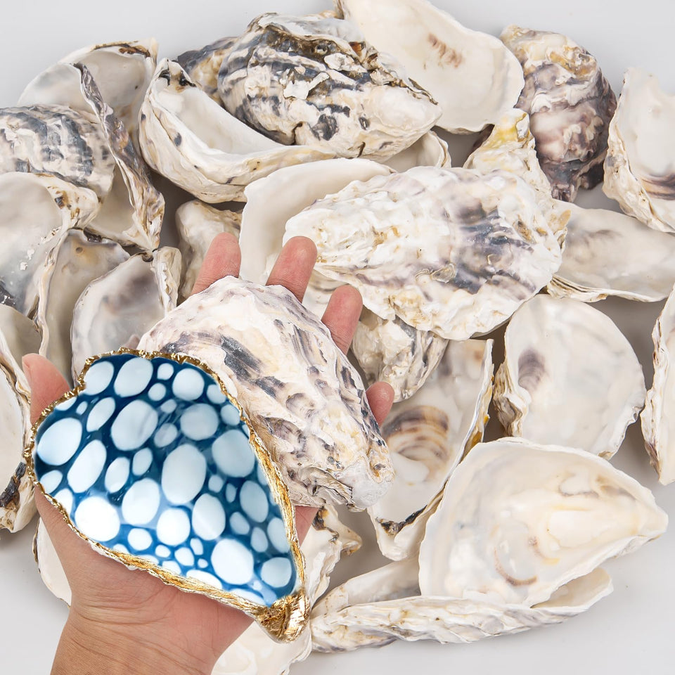 QICQDRAM 15-piece concave oyster shells for crafts, natural texture.