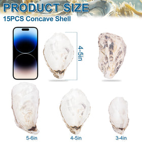 QICQDRAM natural oyster shells bulk for DIY projects and decor.