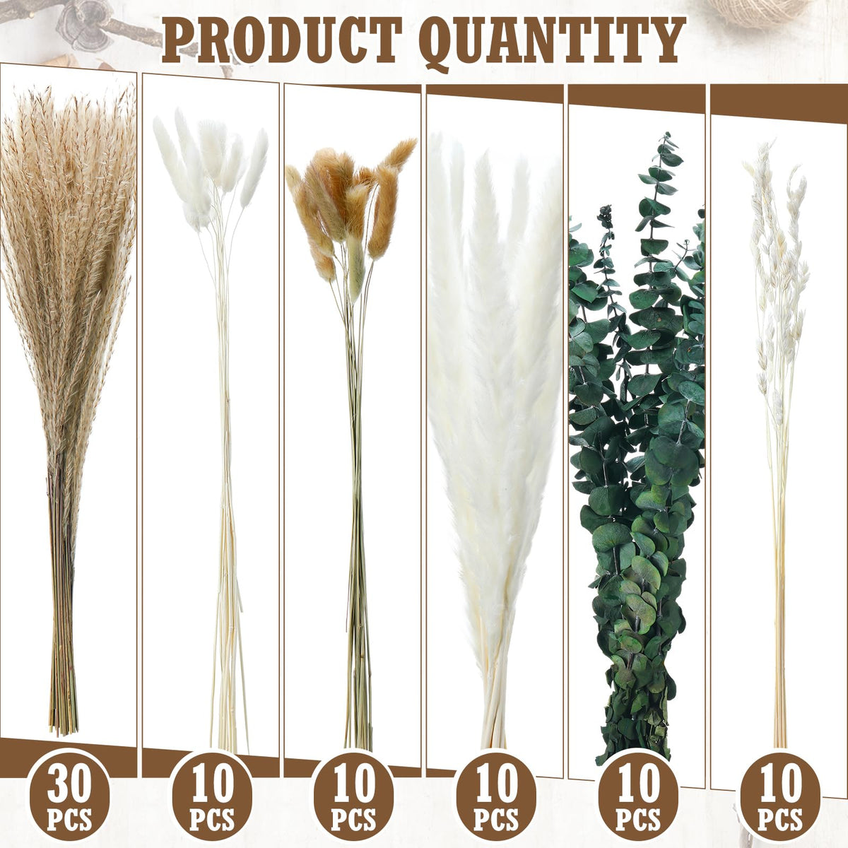 Qinyoung clear glass jars showcase stems with a clean, modern touch.