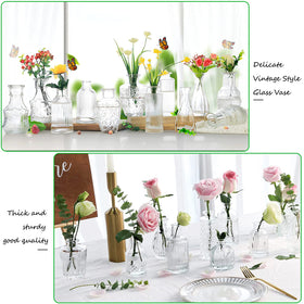 QLOFEI Clear glass bud vase for small flower buds and arrangements.