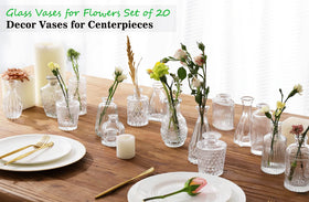 QLOFEI Bud Vases in clear glass ideal for petite bouquets.