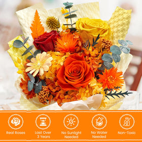 QOEAZY birthday-gift-women versatile present to brighten her day