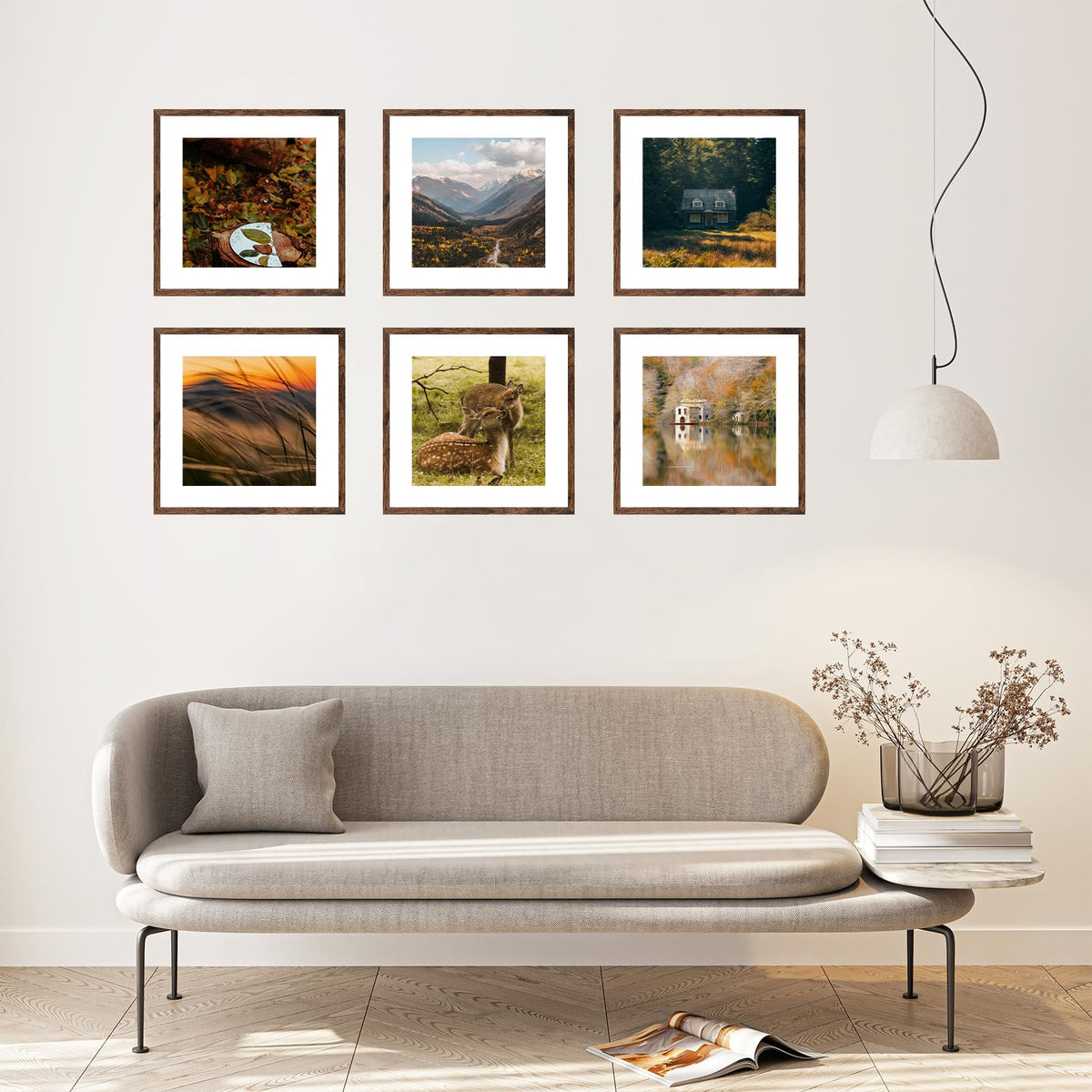 QOTIB deep brown frame closeup of plexiglass shielding photos