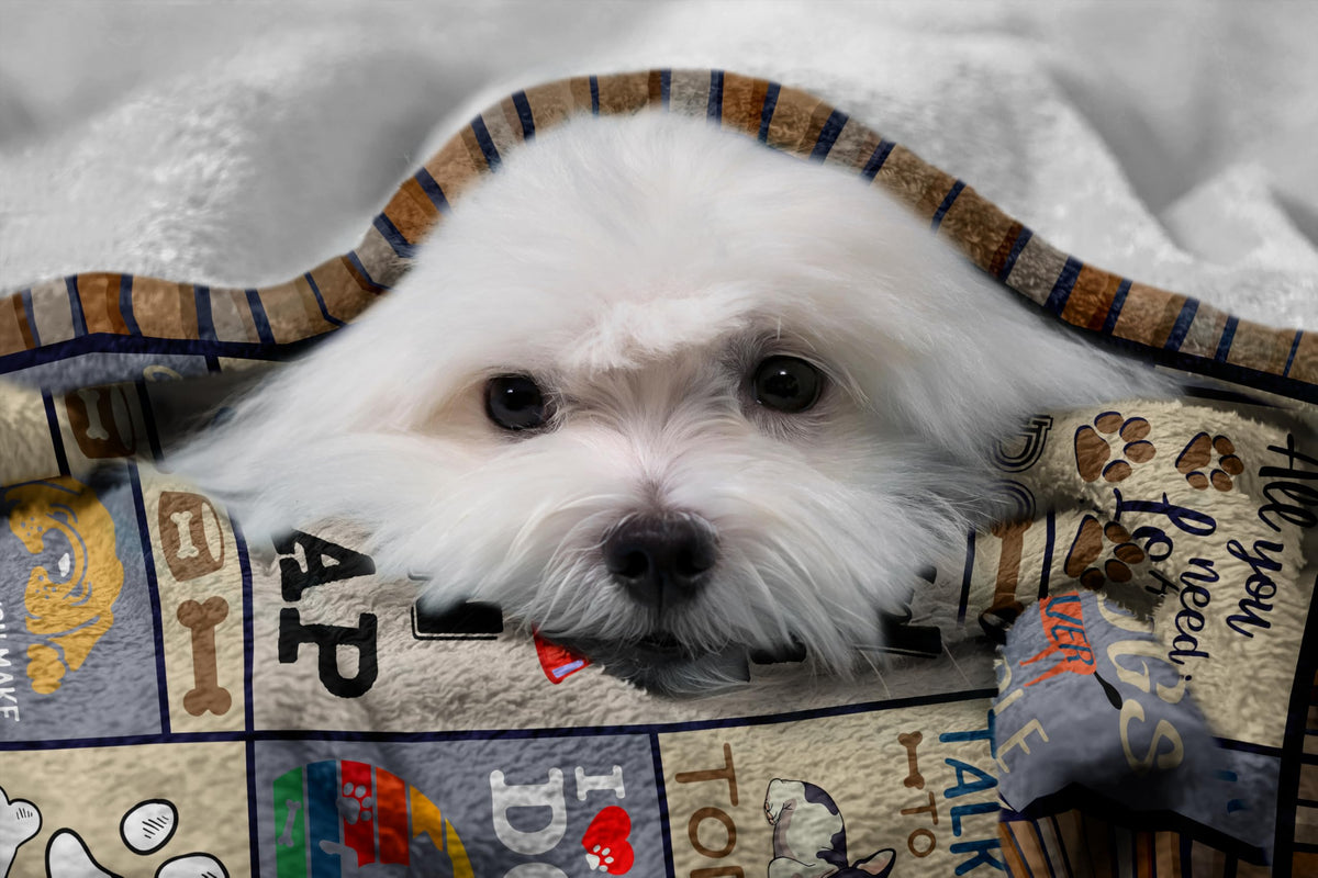 Qotuty blanket on sofa suitable for everyday use