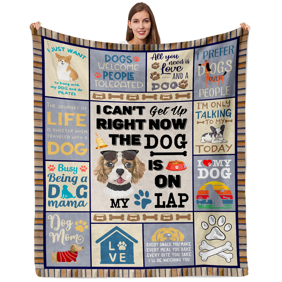Qotuty doggie blanket 60x50 cozy warmth on the sofa
