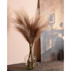 QUBITFUL pampas grass feather plume, 23in detail with natural movement
