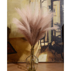 QUBITFUL pampas grass warm tips to reshape stems after delivery