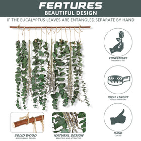 Qunwreath premium eucalyptus stems with durable, long-lasting form.