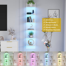 Qupui angled-view shelves highlight dimensional storage and integrated lighting.