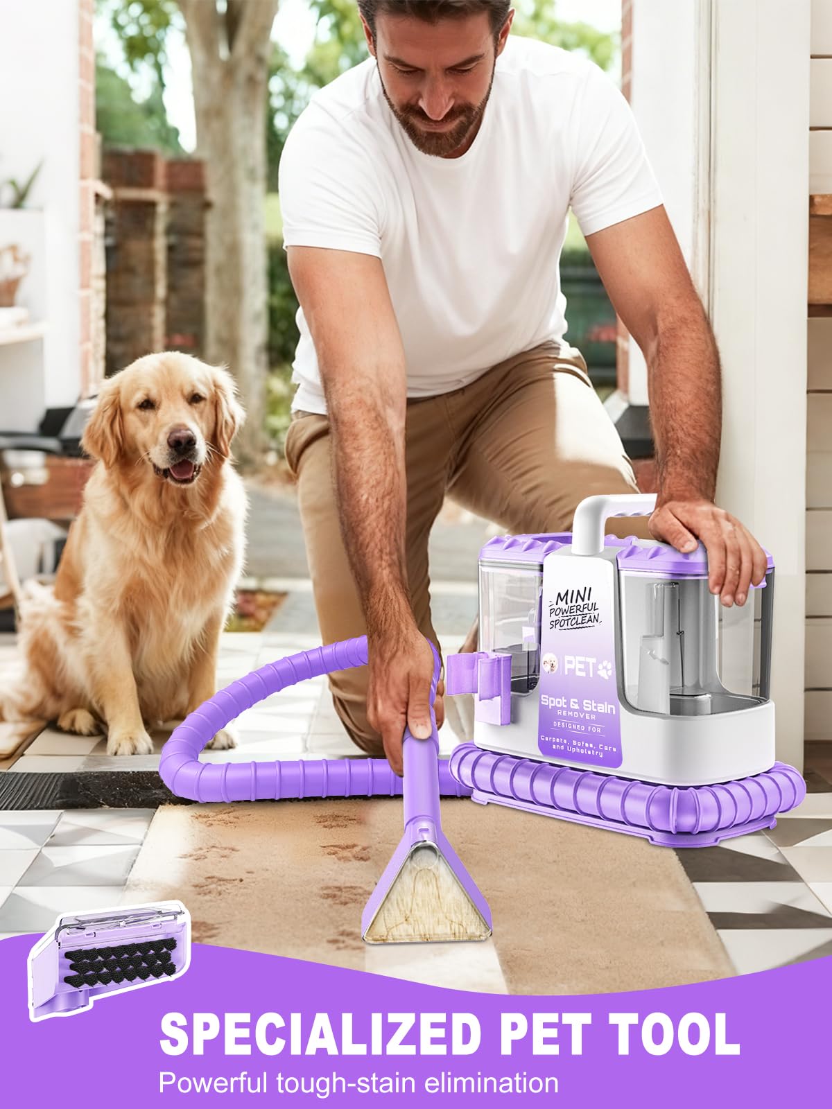 QynTo H3B ideal for pet mess cleanup on carpets and upholstery.
