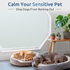 Rabbitgoo removable no-residue cling peels off cleanly.
