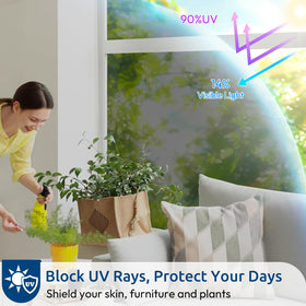 Rabbitgoo UV-protection tint blocks sun rays to protect floors and furnishings.