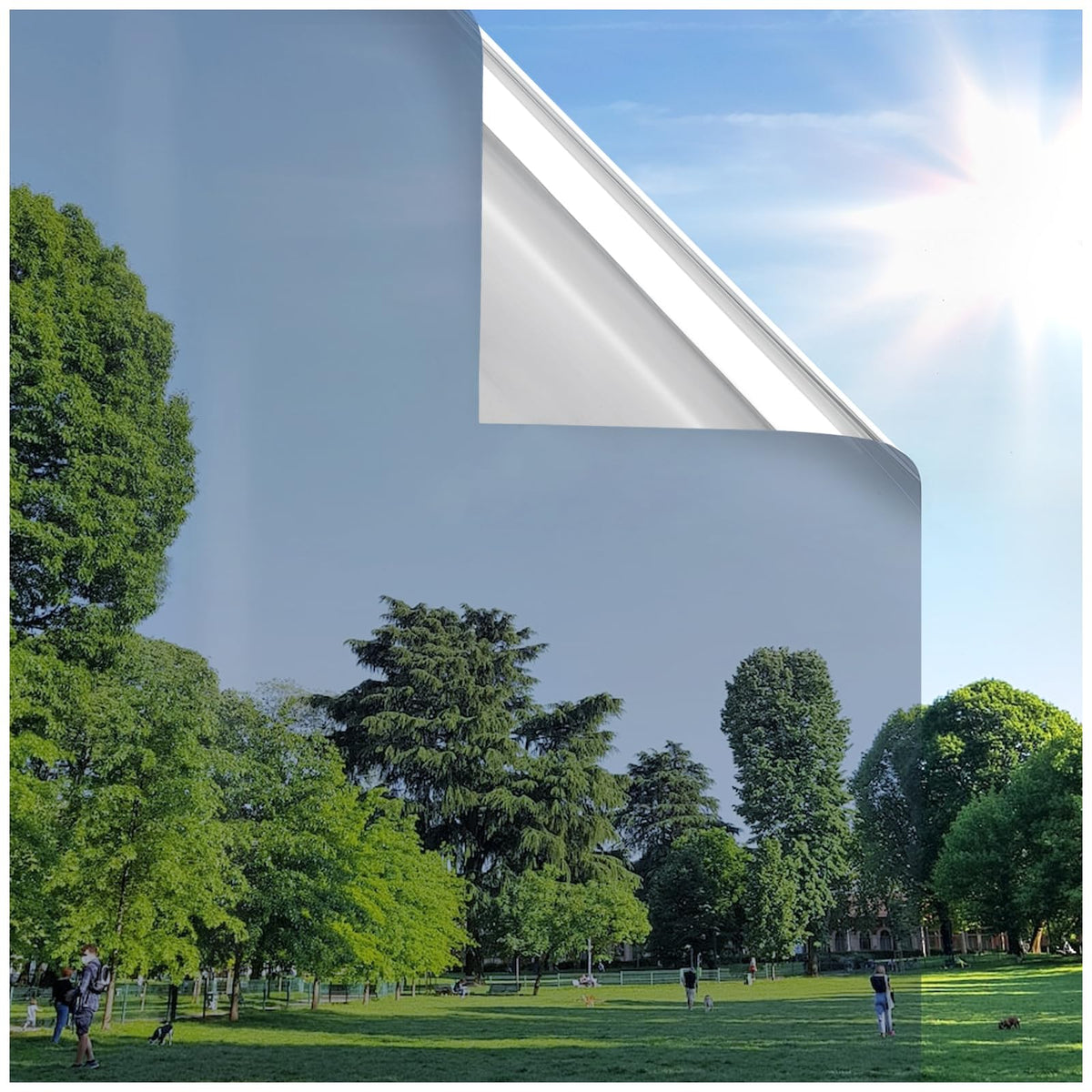 Rabbitgoo window film in silver offers one-way privacy and heat control.