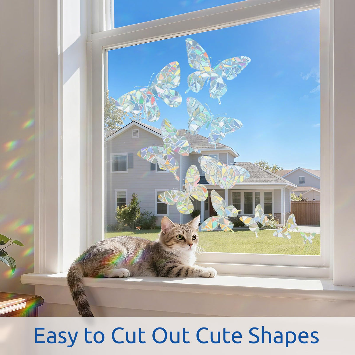 Rabbitgoo privacy film brightens rooms in living rooms and bedrooms.