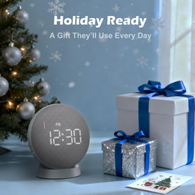 REACHER robust bed shaker vibration reaches under pillow for wake-ups.