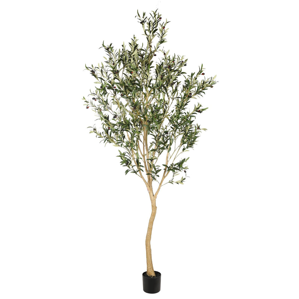 REALEAD 8ft olive tree with trunk detail enhances natural indoor decor.