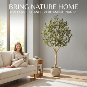 REALEAD outdoor olive tree suits modern decor for living rooms, patios, and offices.