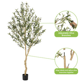 REALEAD 6ft olive tree enhances living room ambiance