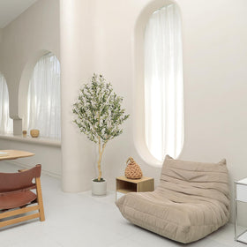 REALEAD olive tree suited for office spaces and storefronts