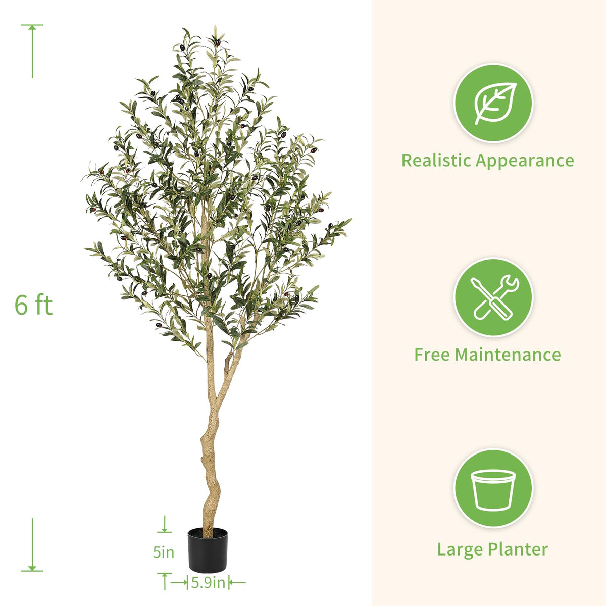 REALEAD 6ft olive tree in heavy-weight pot for stability