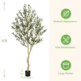 REALEAD 6ft olive tree in heavy-weight pot for stability
