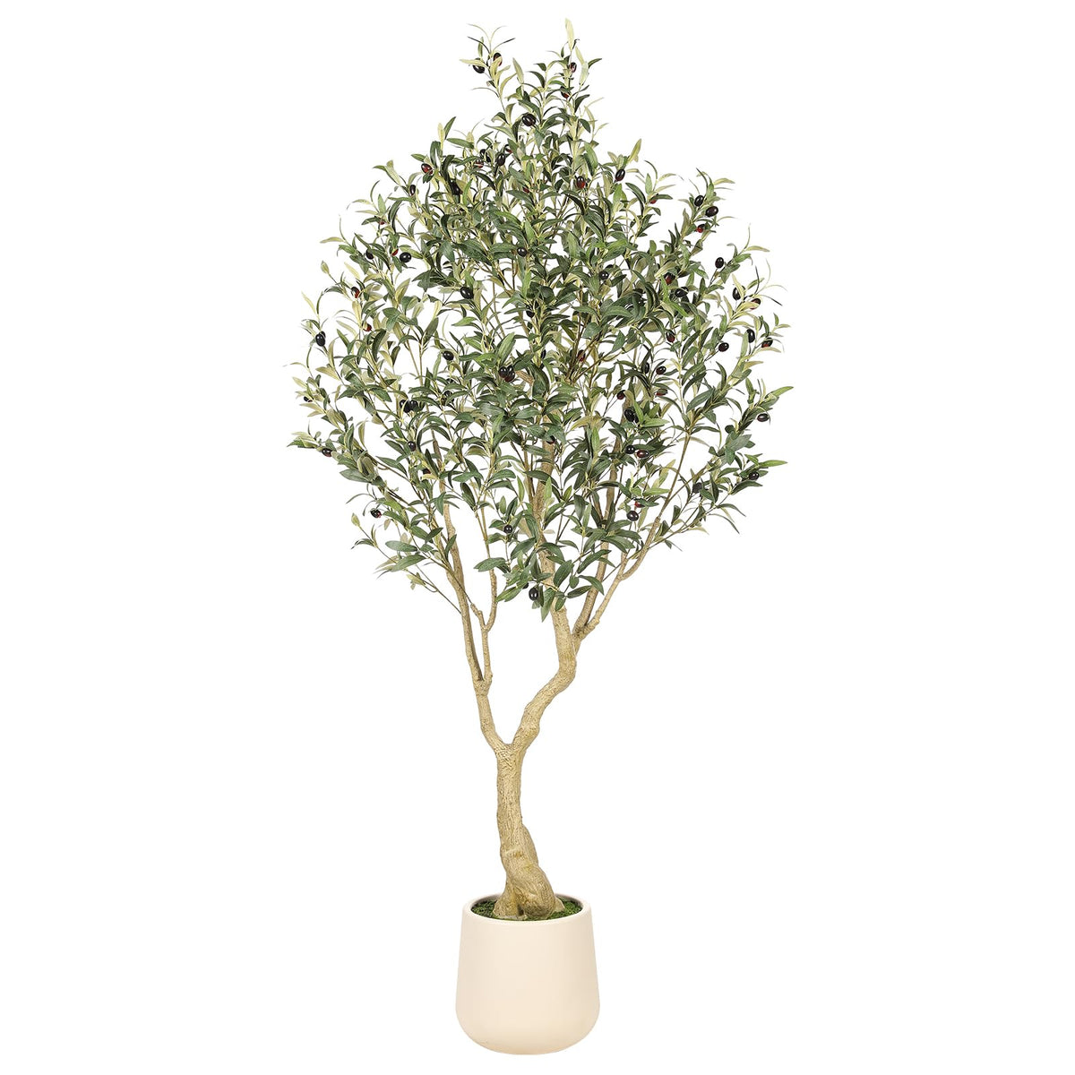 REALEAD 6ft olive tree in an exquisite planter enhances living room decor.