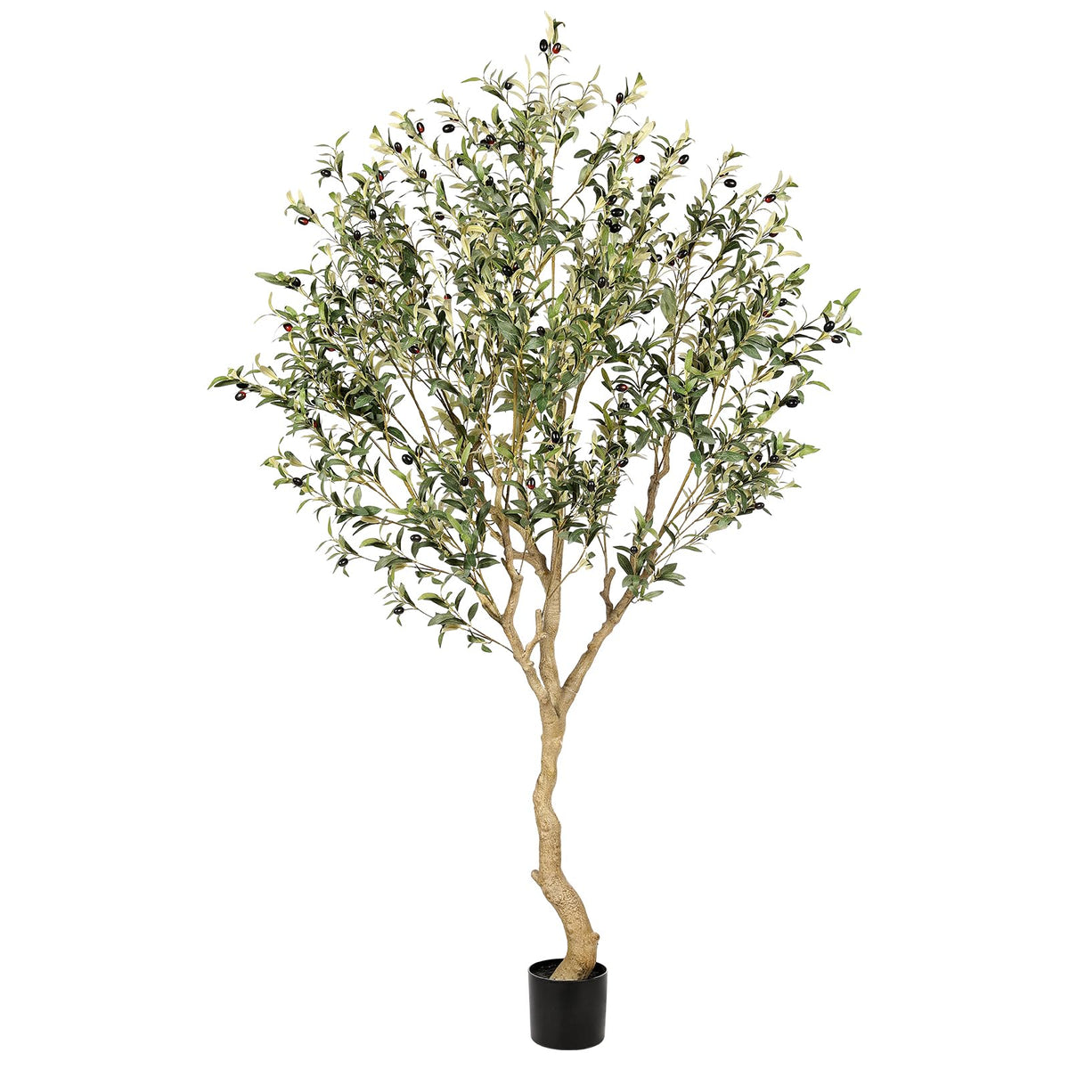 REALEAD olive tree 7ft full view for elegant living room decor