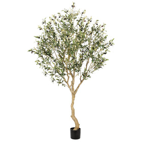 REALEAD olive tree 7ft full view for elegant living room decor