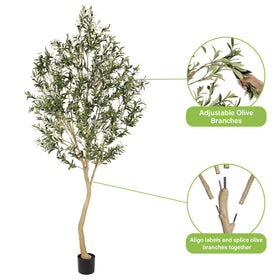 REALEAD olive tree assembly step demonstrates quick, simple setup.