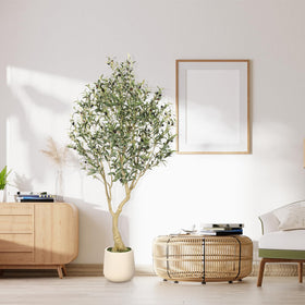 REALEAD olive tree in office or living space adds easy, low-maintenance greenery.