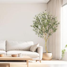 REALEAD indoor olive tree in modern living space as focal decor
