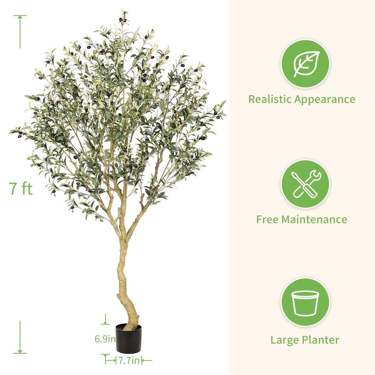 REALEAD olive tree twisted trunk with natural bark patterns