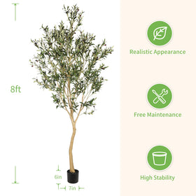 REALEAD olive tree weighted pot highlights stability for versatile placement.